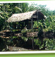 orinoco delta warao hutten