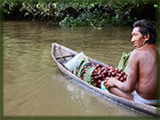 Warao People De Warao